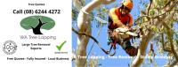 WA Tree Lopping Service image 4